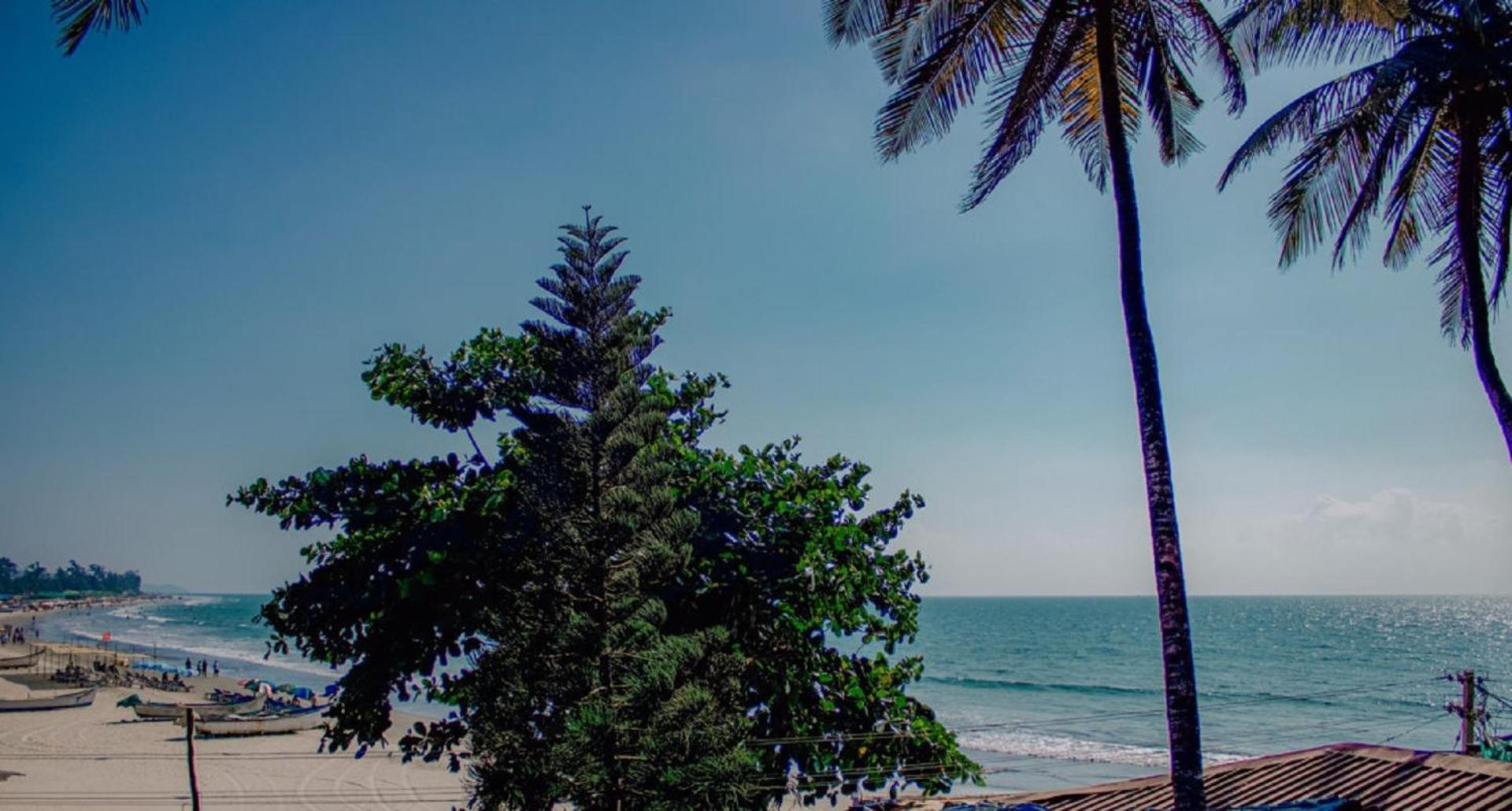 This Is It Beachfront - Rooms, Cafe & Events Arambol Kültér fotó